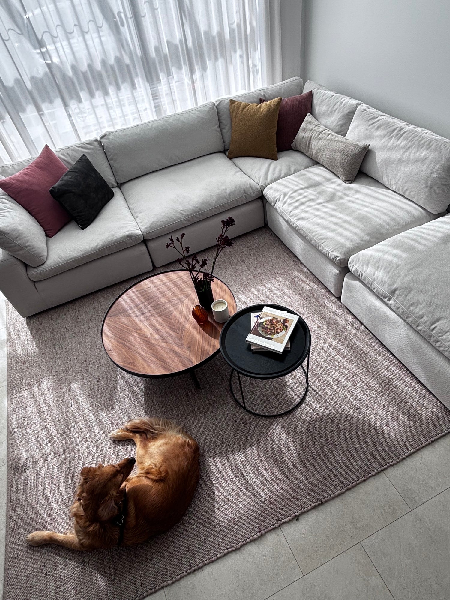Billie modular corner lounge in white fabric styled with a timber coffee table and textured rug