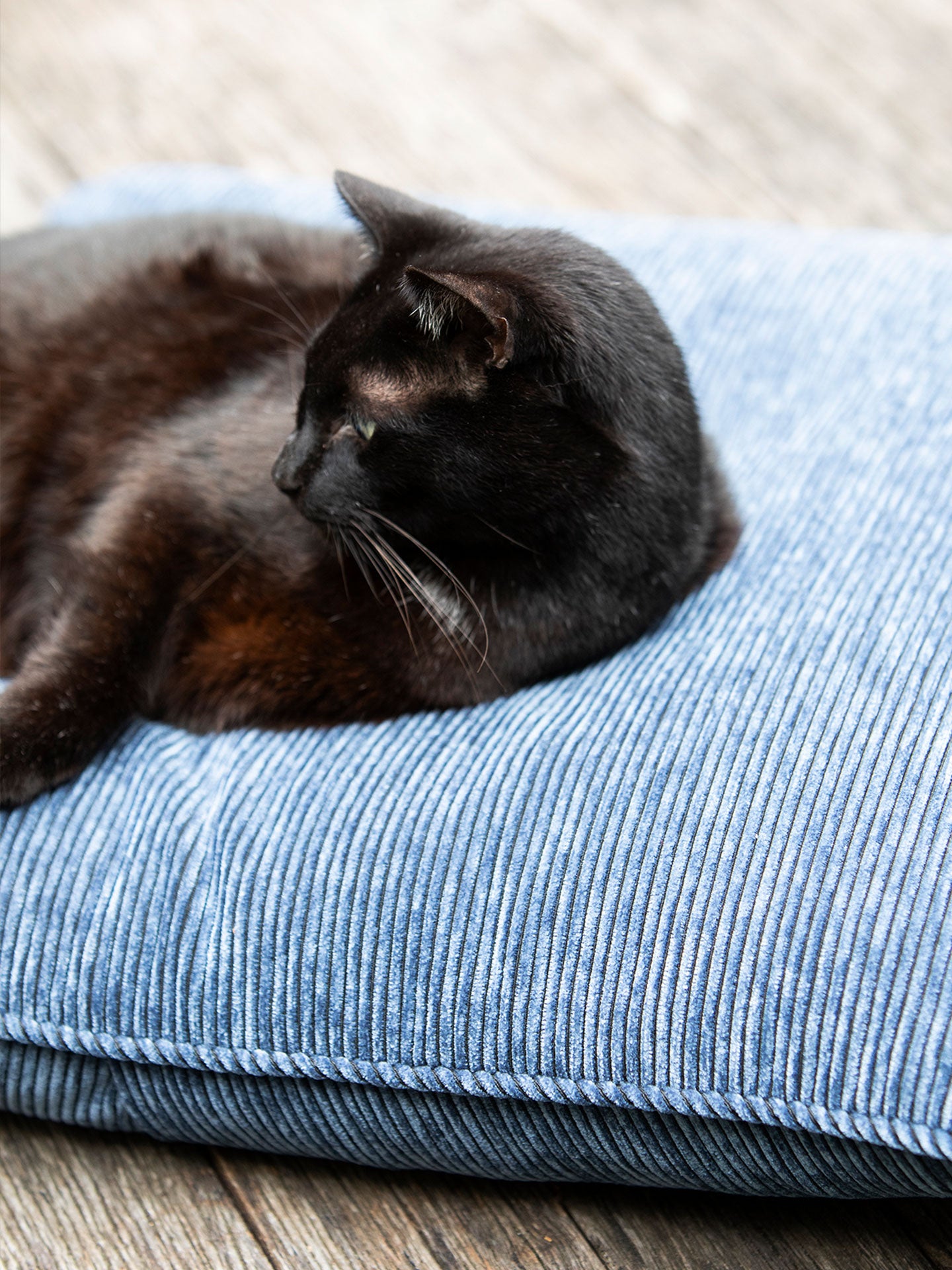 Bowie Roll of Fabric in Denim Blue - 30m