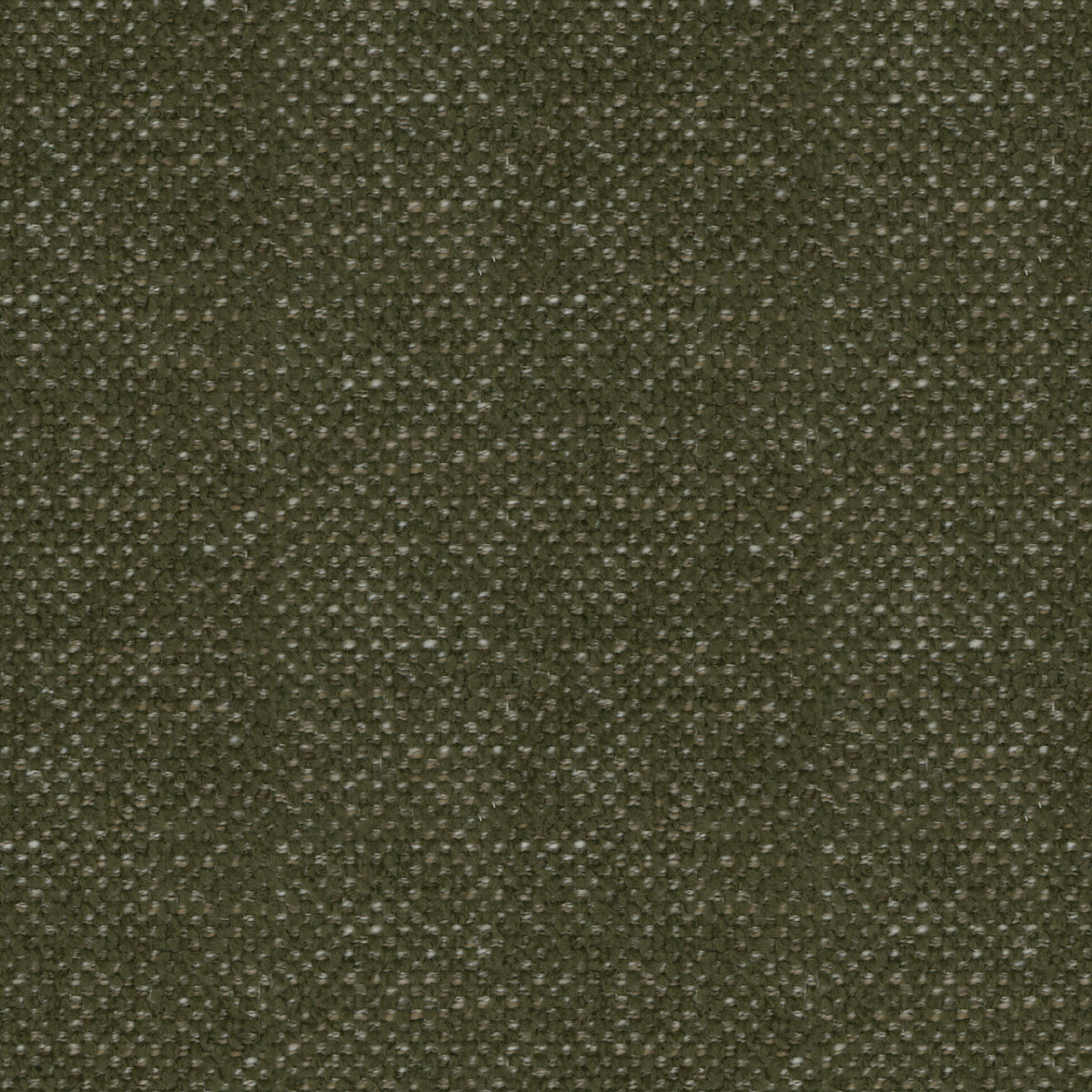 Calvin Sofa in Rove olive styled in a living room