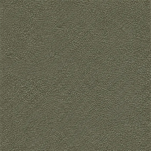 Free Roy Fabric Swatches