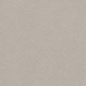 Free Roy Fabric Swatches