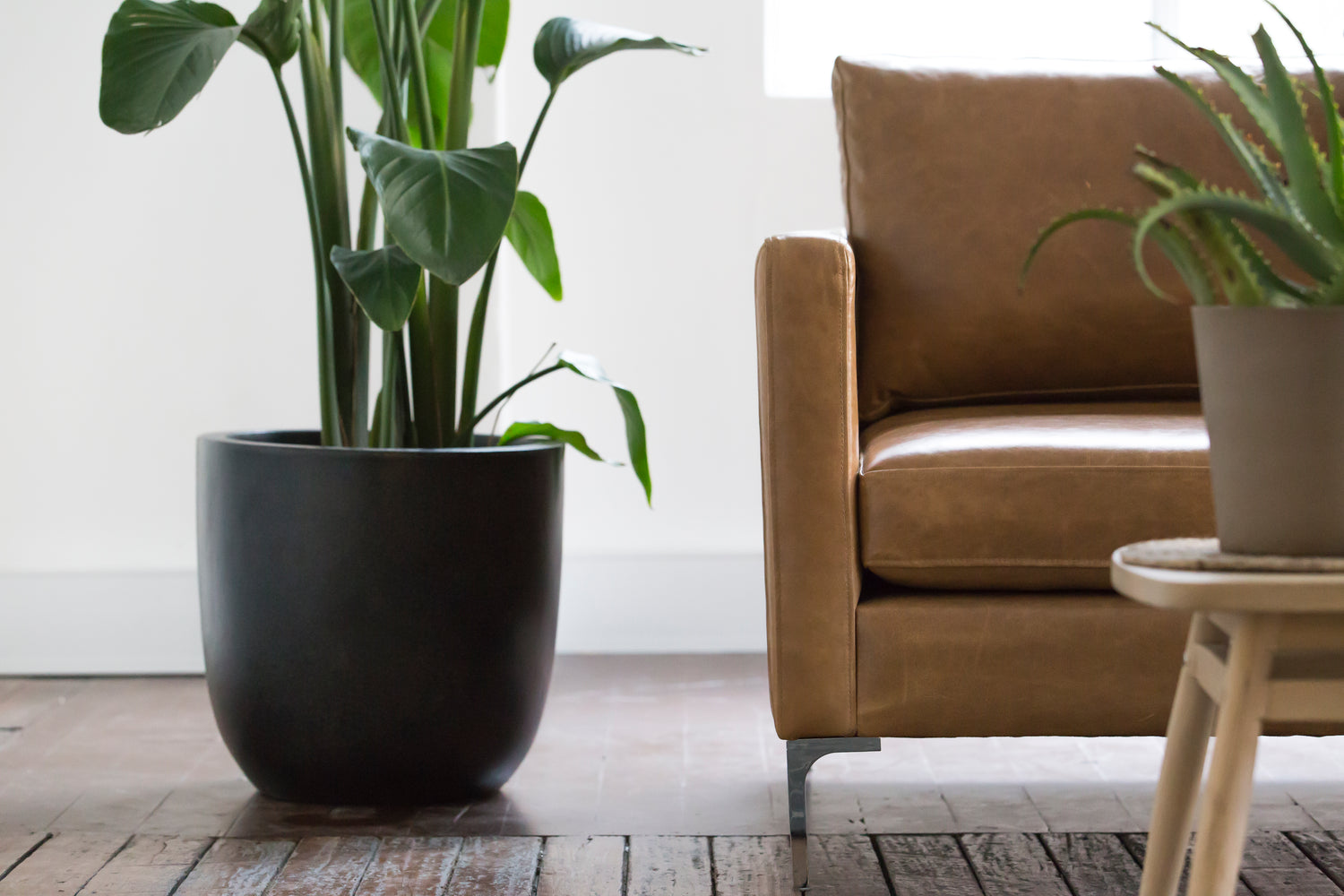 Fred 3 Seat Sofa in Leather